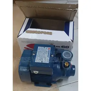 Pedrollo Pkm60 Water Pump.