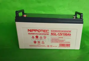 Nippotec 100ah Solar Battery 