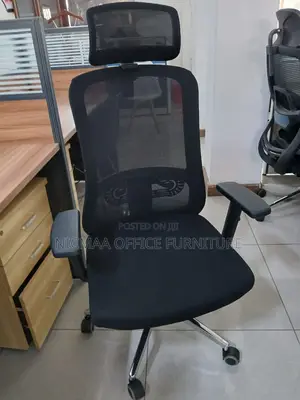 Mesh Back, Headrest Lumbar Support Seat