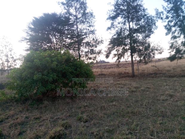 Ready Title Deed - thumbnail 4