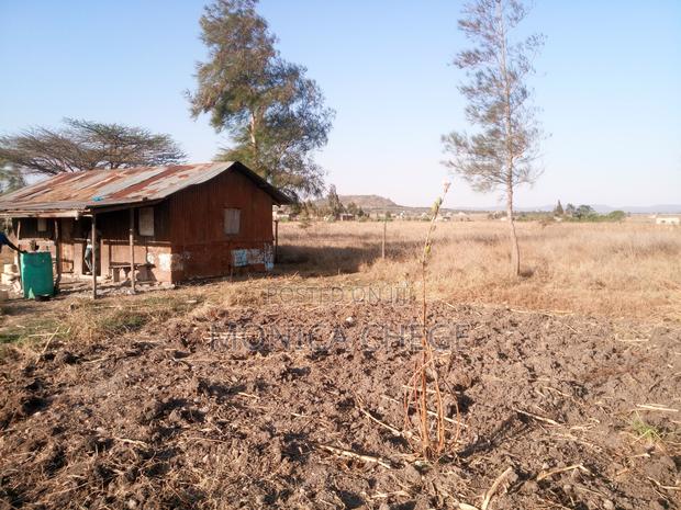 Ready Title Deed - main view