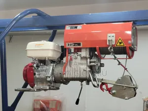 1 Tonne Concrete Hoist/Crane Machine