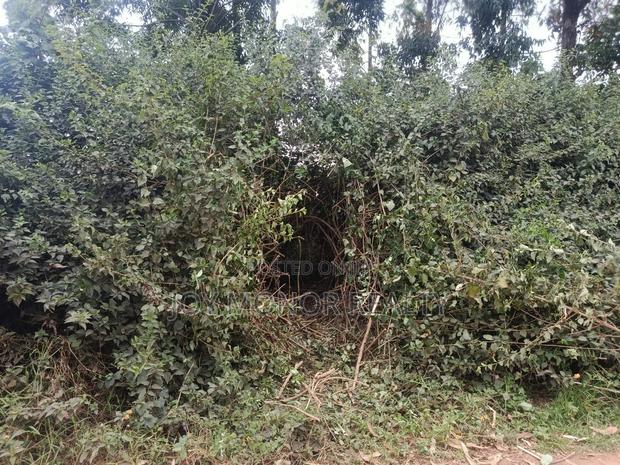 Plot for Sale - thumbnail 4