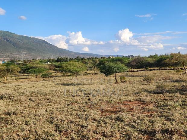 3.5 Acres in Kimuka Buy Whole or Subdivided Into 1 or 1⁄2 Acre Plots - thumbnail 4