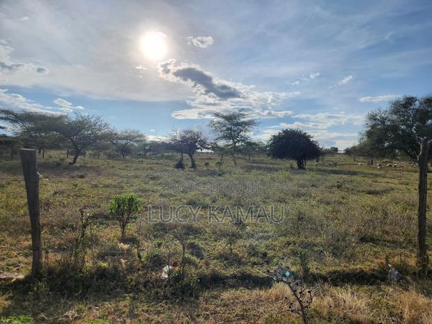 3.5 Acres in Kimuka Buy Whole or Subdivided Into 1 or 1⁄2 Acre Plots - thumbnail 7