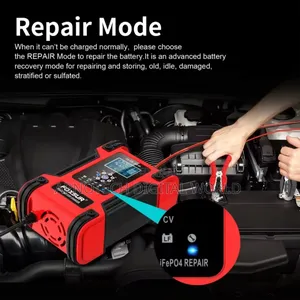 12v/24v Full Automatic Battery Charger
