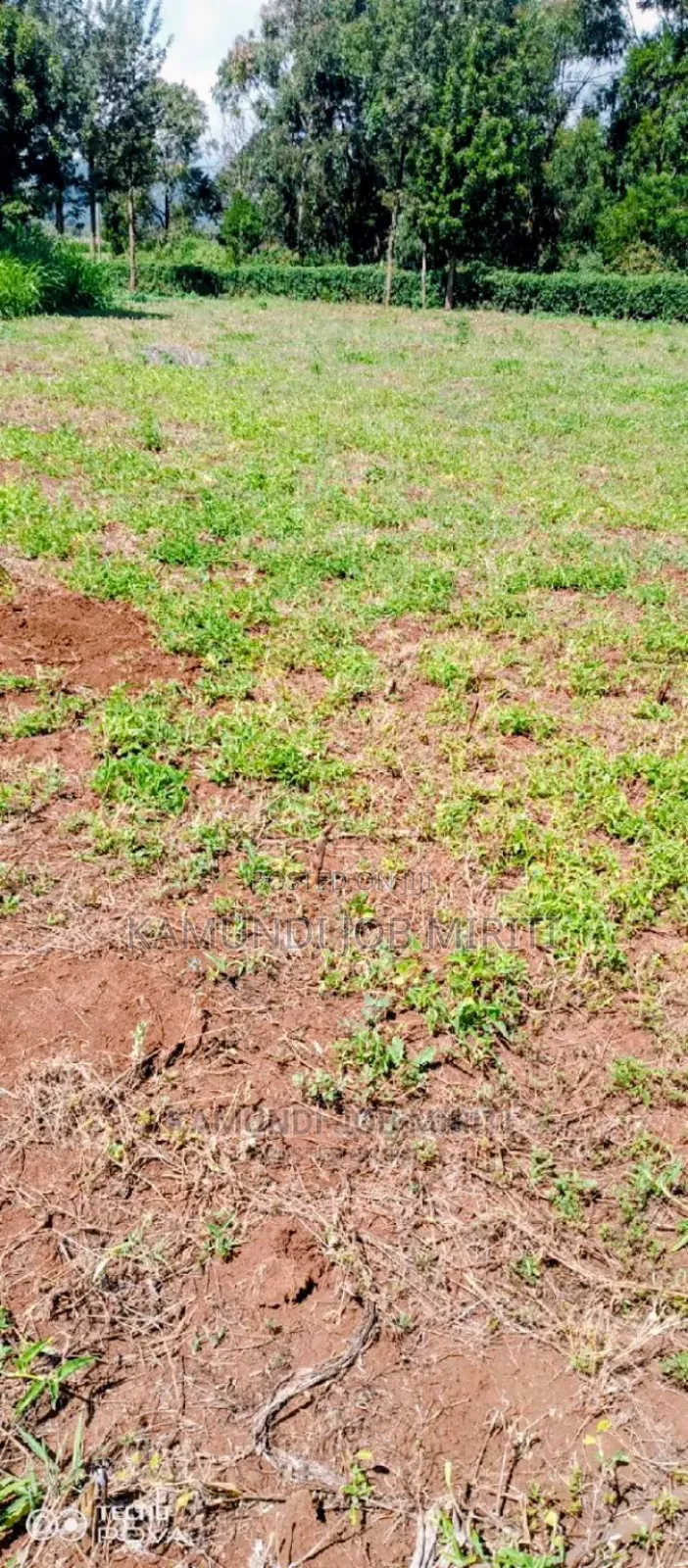 Plot for Sale 50/100