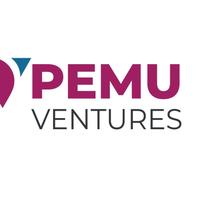 Pemu Ventures logo