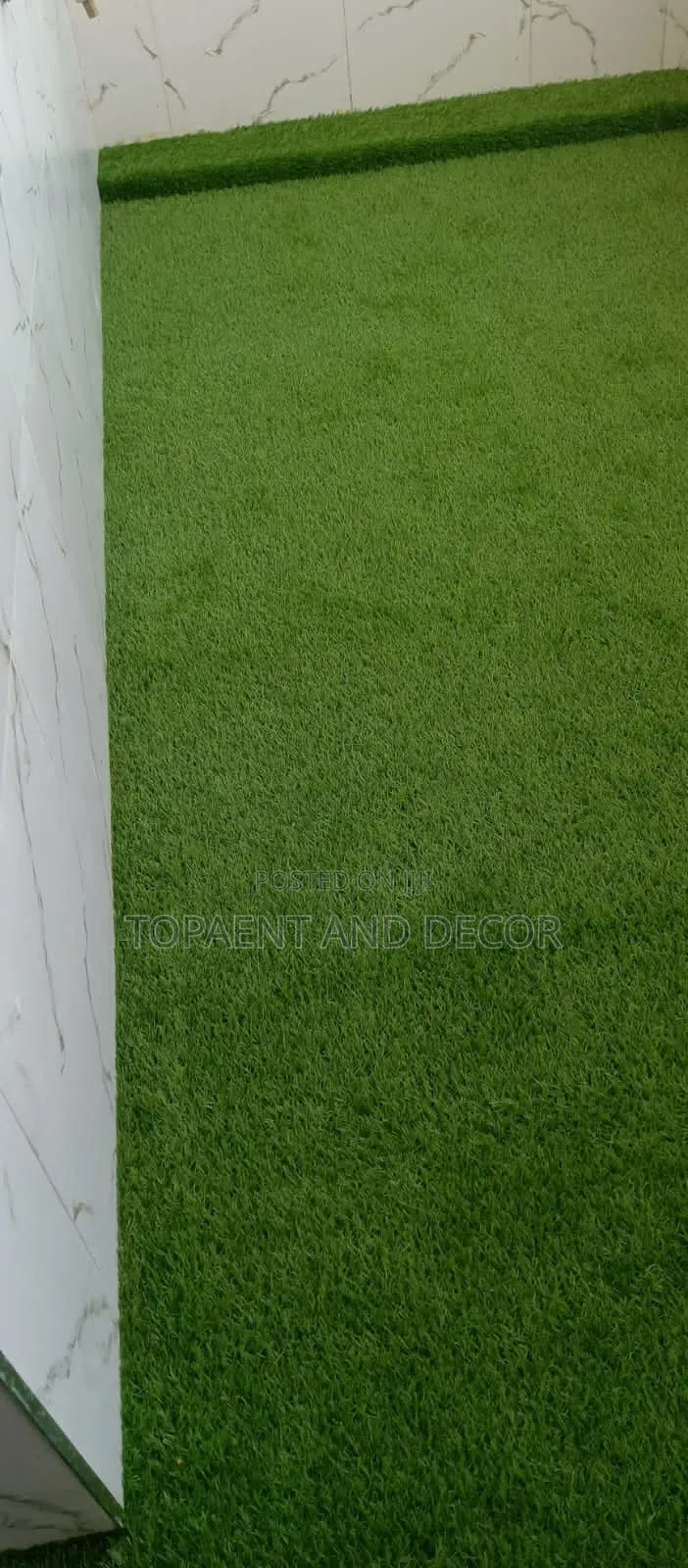 Lush Green Turf Perfect for Home