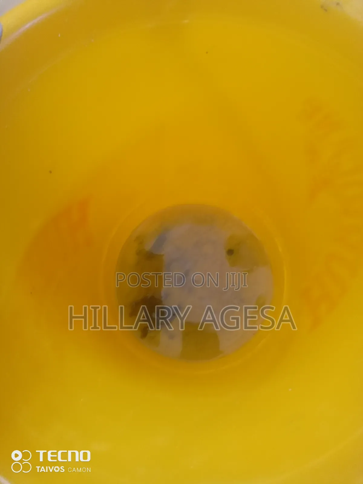 Bosch Front Load Washing Machine Not Draining Repair Services