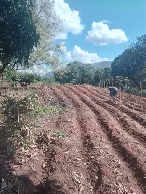 Land for Sale 1 Acre Located Less Than 1km -Machakos CBD