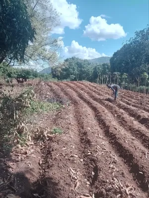 Land for Sale 1 Acre Located Less Than 1km -Machakos CBD