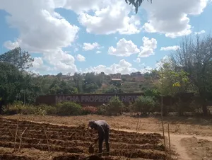 Land for Sale 1 Acre Located Less Than 1km -Machakos CBD