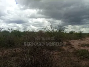 11no 50x100 Plots With Title Deeds at Kivandini, Matuu