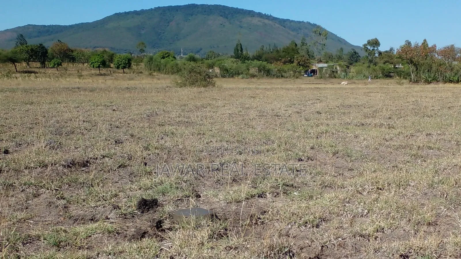 Residential Plot For Sale Thika Kilimambogo