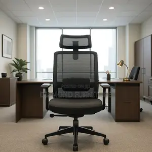 Orthopedic High Back Ergonomic Office Seat Chair