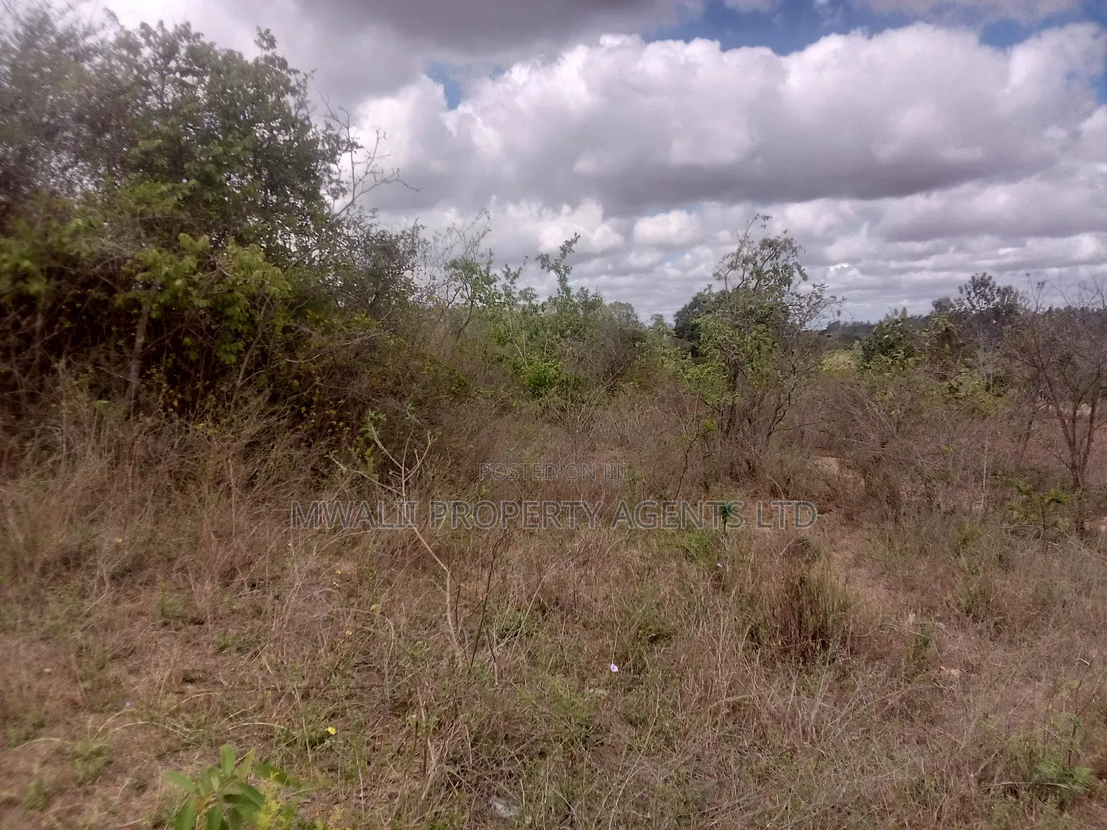 Tungutu 50 by 100 Ft Plots for Sale