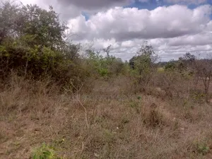 Tungutu 50 by 100 Ft Plots for Sale
