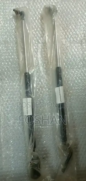 Harrier 300/Rx300 Bonnet Shocks