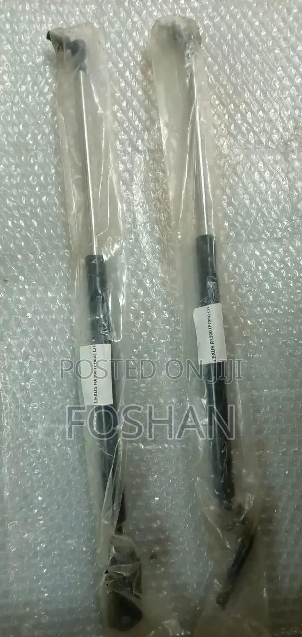 Harrier 300/Rx300 Bonnet Shocks - main view