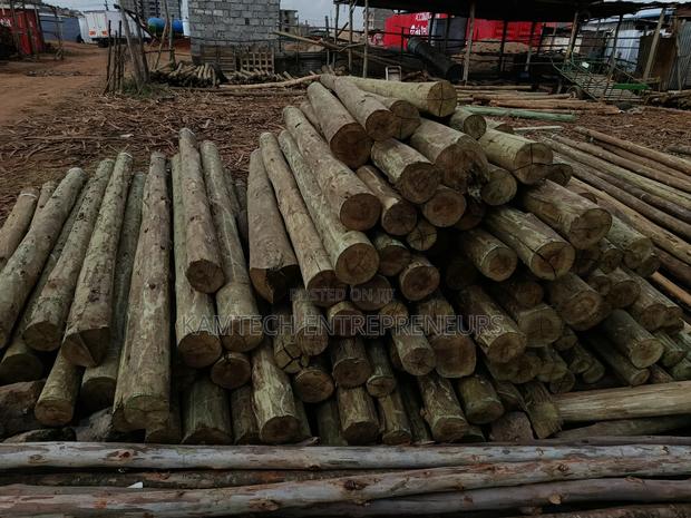 Cca Treated Fencing Posts