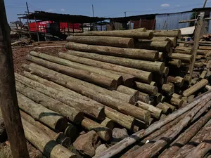 Cca Treated Fencing Posts