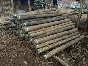 Cca Treated Fencing Posts