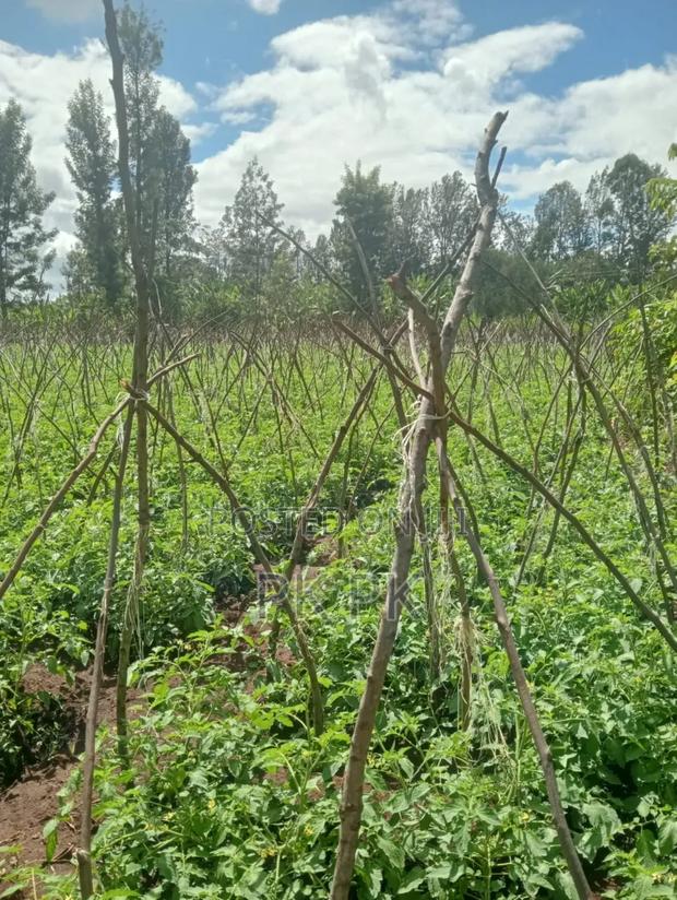 (0.316 H 3/4 Acre Land for Sale in Kirinyaga - main view