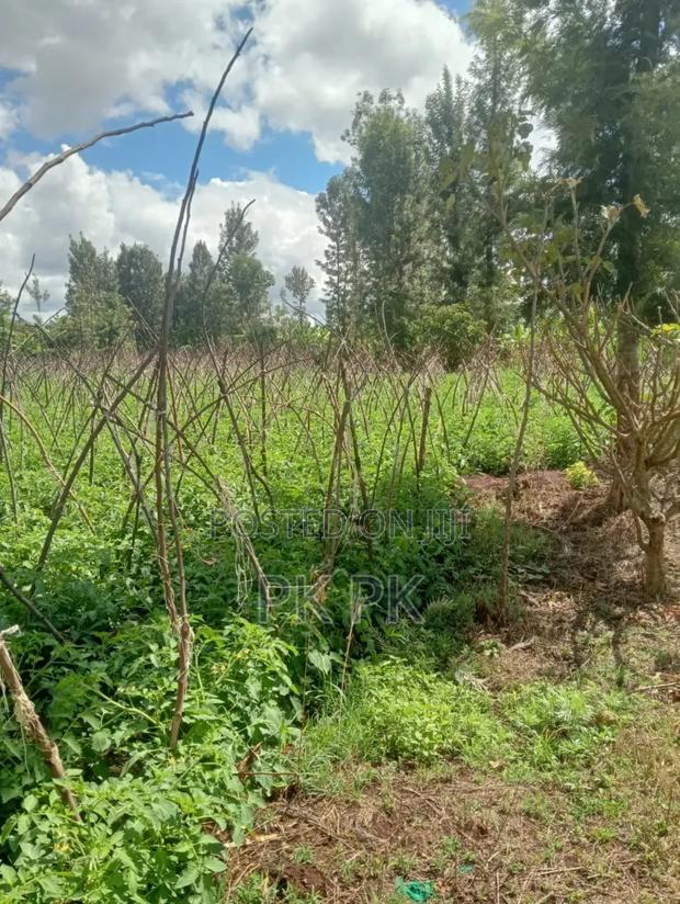 (0.316 H 3/4 Acre Land for Sale in Kirinyaga - thumbnail 3