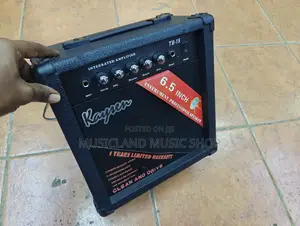 Bass Guitar Amplifier