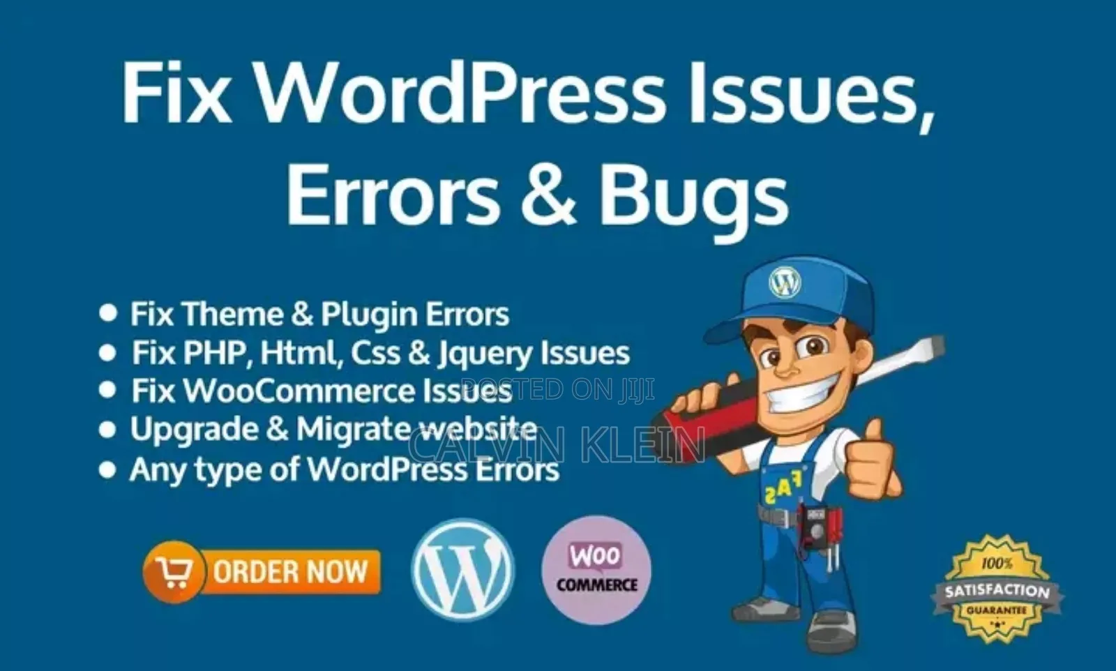 Bug and Error Fixing Service for Wordpress Websites