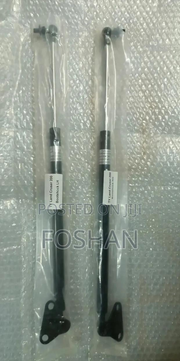 Lc 200 V8 Bootshocks
