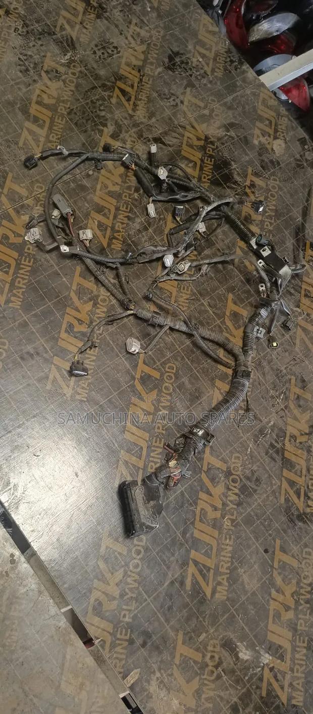 Complete Wiring Harness 1nz for Toyota Fielder 161