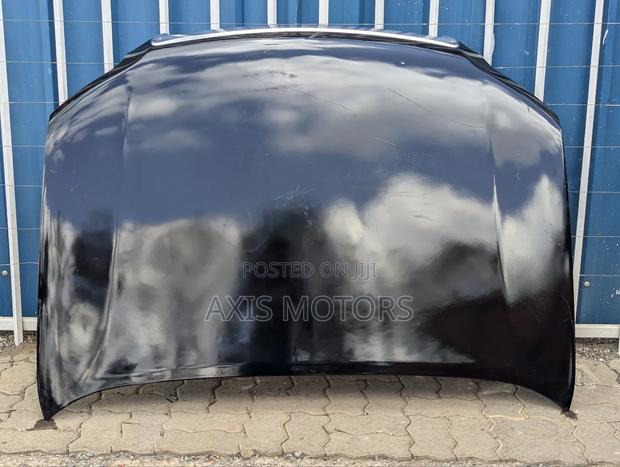 Prado 150 Bonnet , 2010