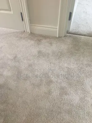 Easy to Maintain Office Wall to Wall Carpet