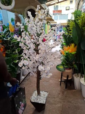 Beautiful White Blossom Long Tree - thumbnail 2