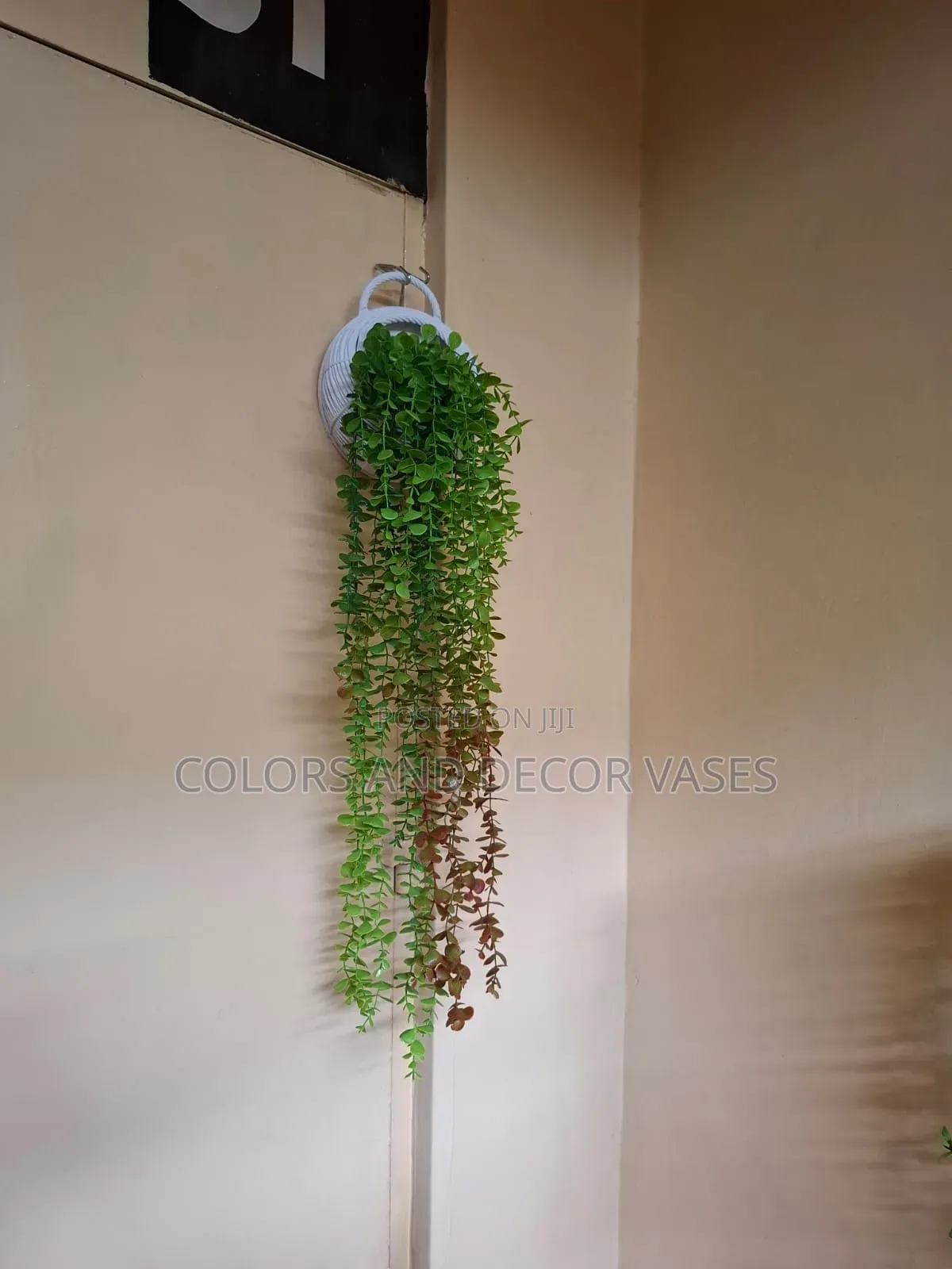 Vase With 2 Long Vines
