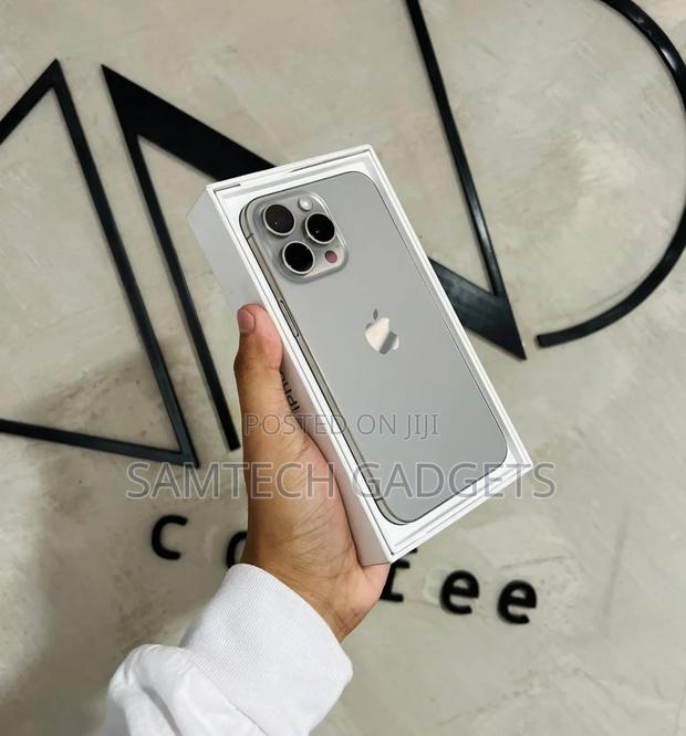 Apple iPhone 15 Pro Max 256 GB Silver - main view