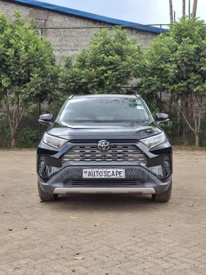 Toyota RAV4 XLE Premium AWD 2019 Black