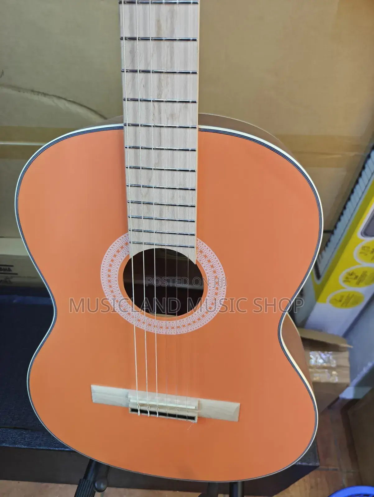 Chard Classic Guitar