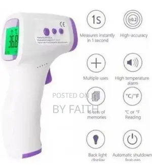 Medical Infrared Thermometer (Thermogun)