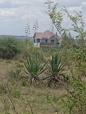 50x100 Land Near Daystar University Athi