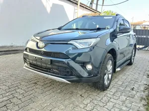 Toyota RAV4 LE 4dr SUV (2.5L 4cyl 6A) 2018 Gray