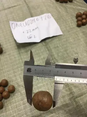 Macadamia Nuts