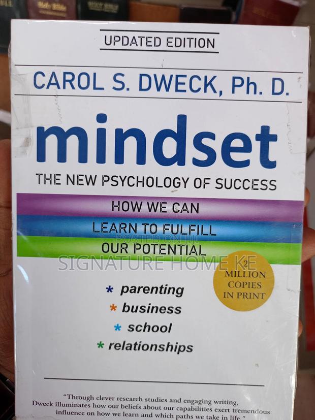 Mindset Novel - thumbnail 2