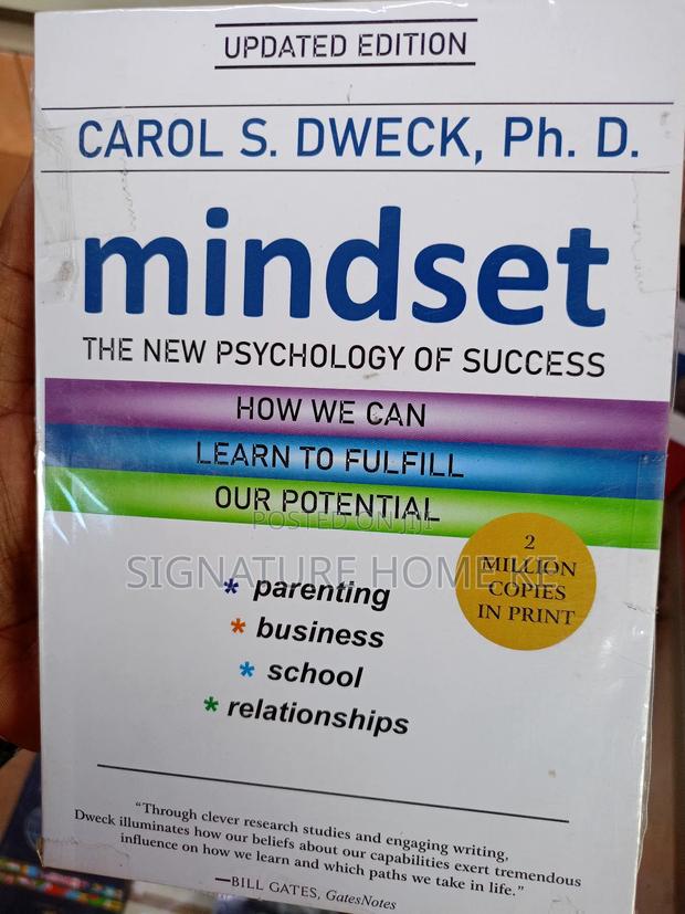 Mindset Novel - main view