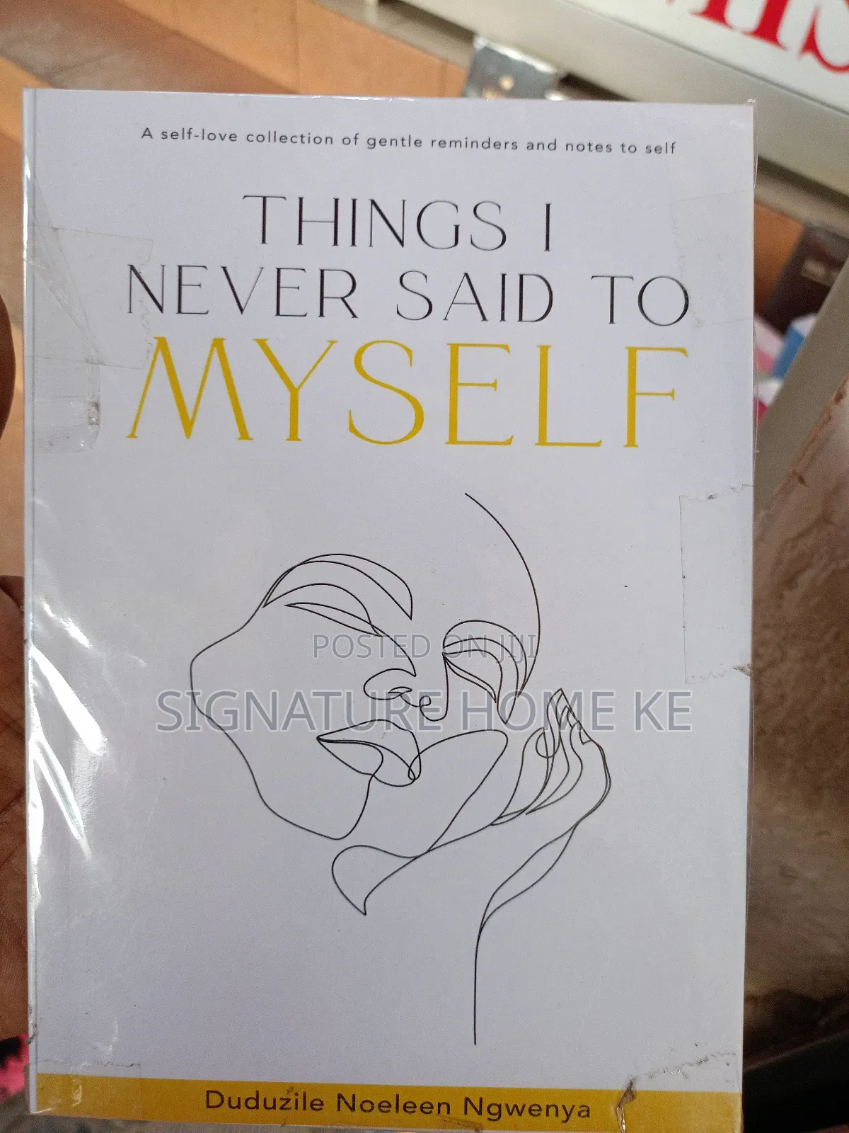Things I Never Said to Myself Novel