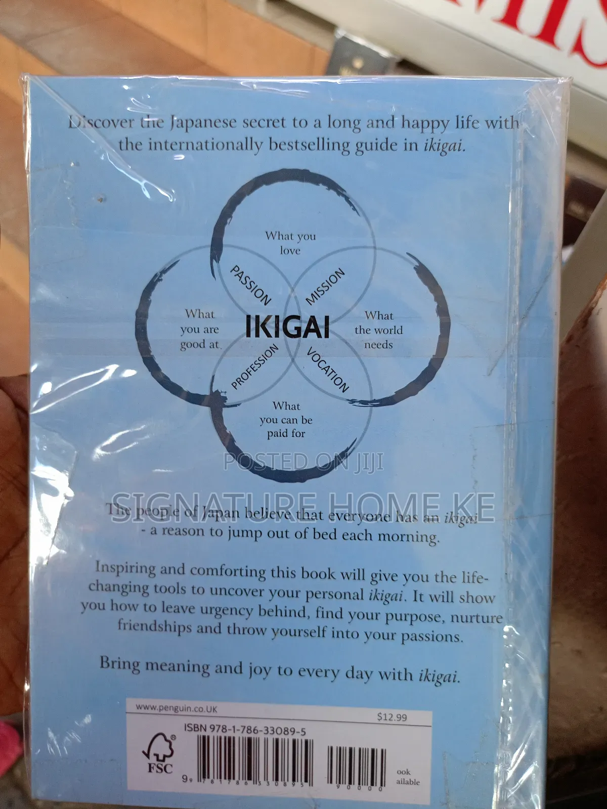 Ikigai Novel
