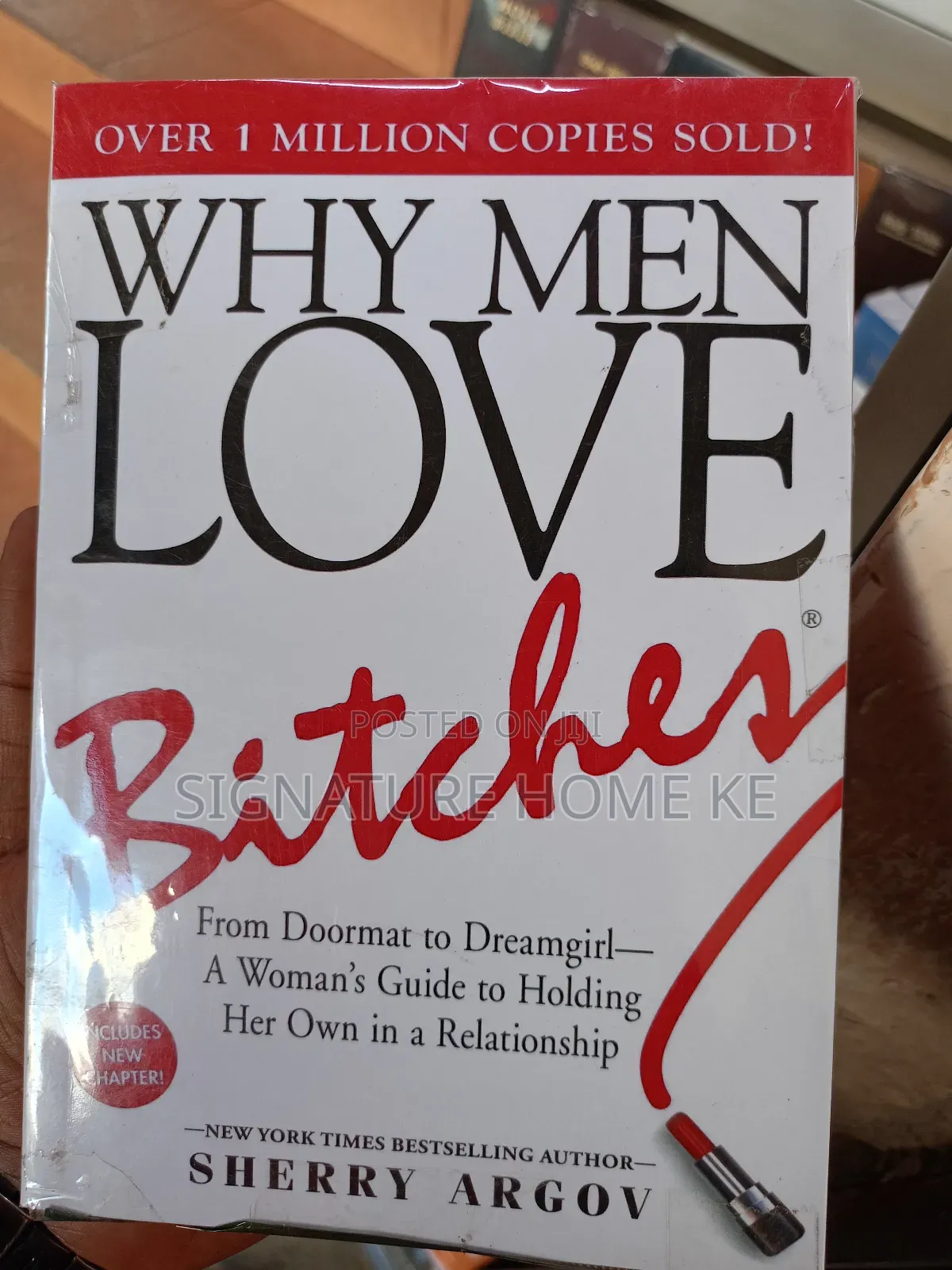 Why Men Love Bitches Novel