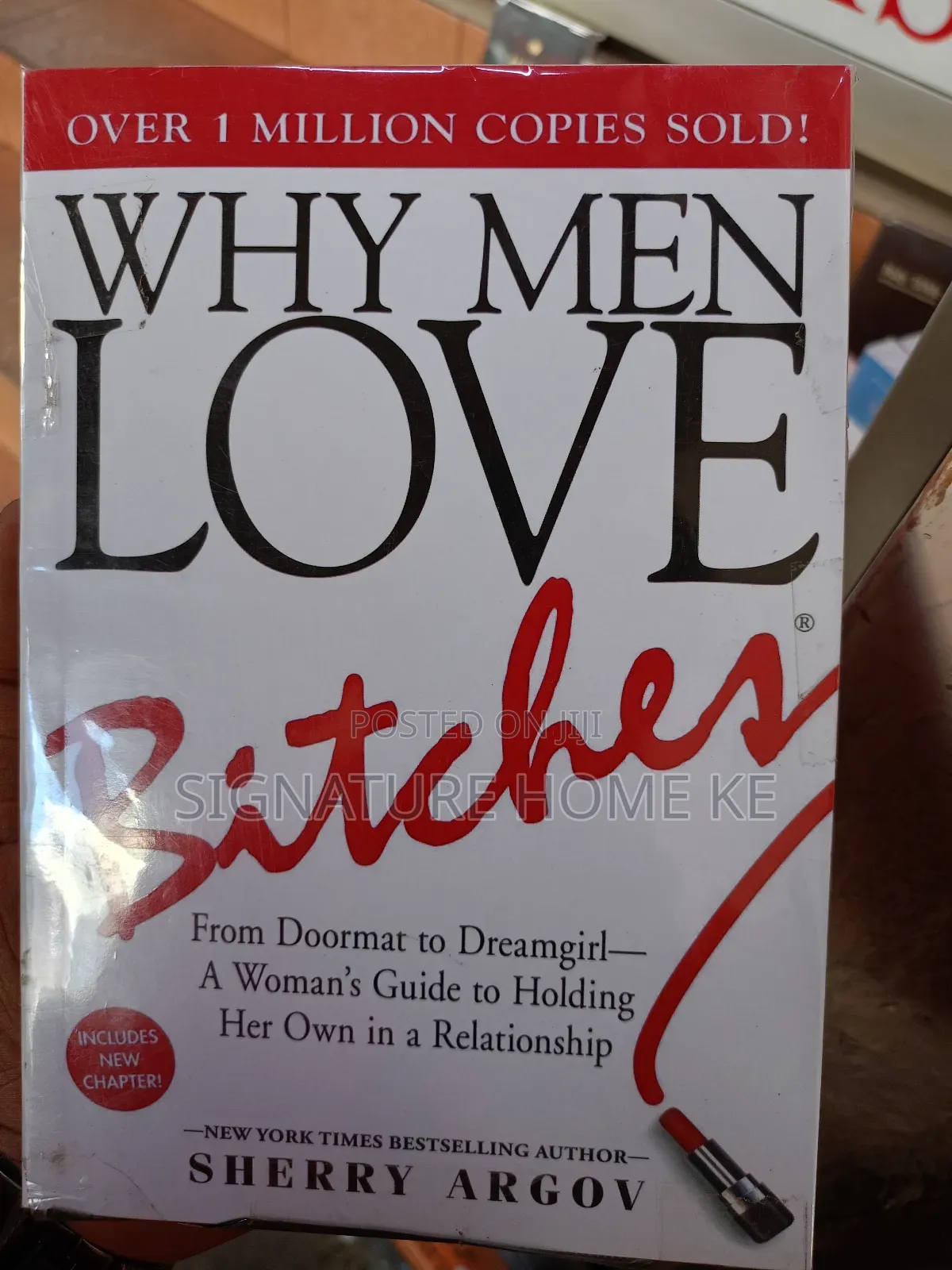 Why Men Love Bitches Novel